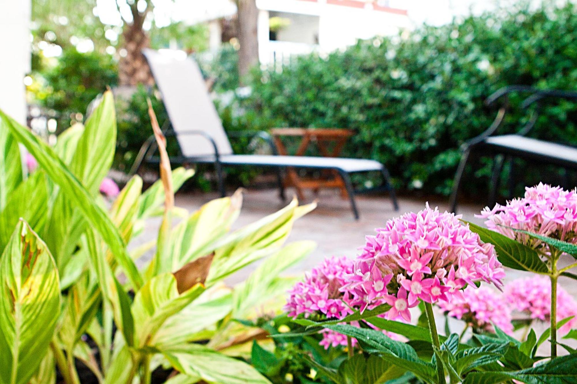 Desoto Beach Gardens タイビーアイランド エクステリア 写真